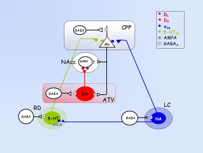 Diapositive39