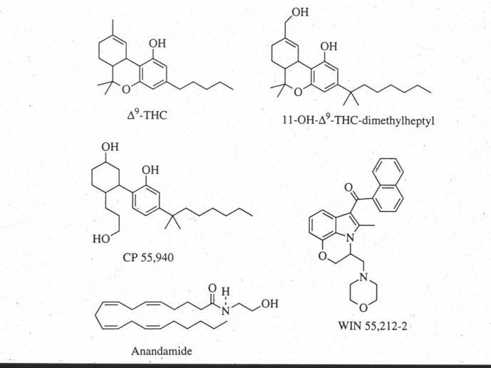 Diapositive44