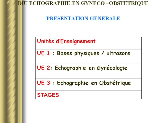 Diapositive8