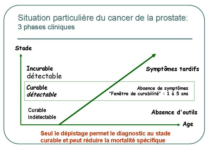 Diapositive3