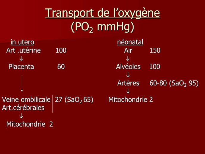Diapositive3