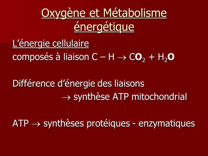 Diapositive4