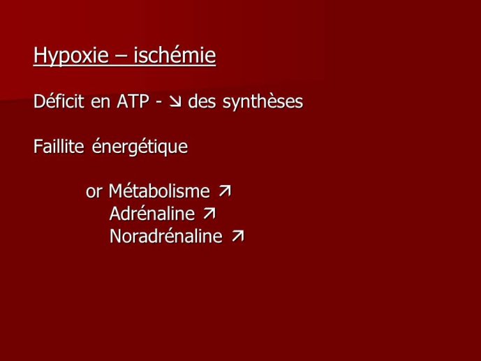 Diapositive5