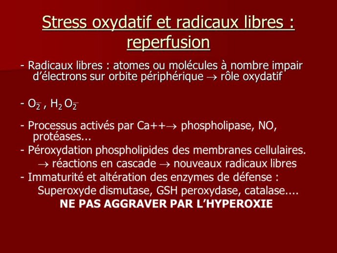 Diapositive21