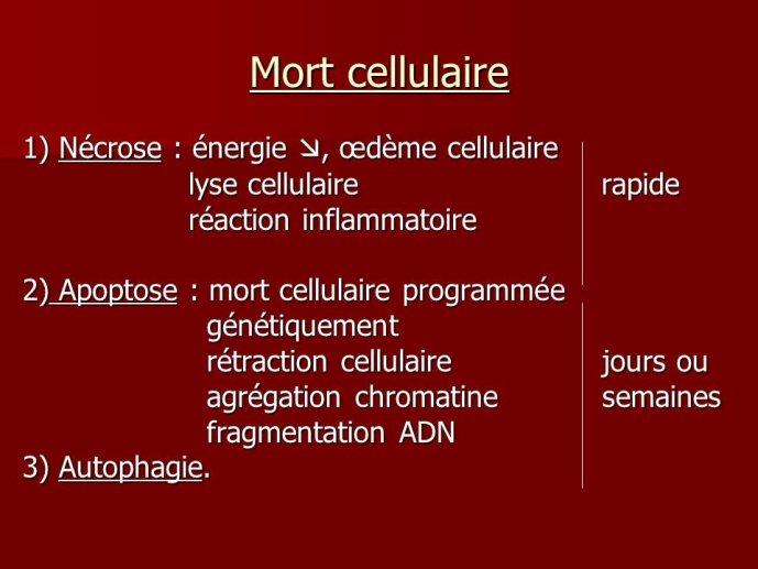 Diapositive22
