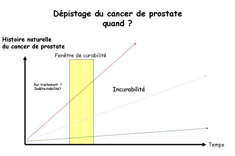 Diapositive8