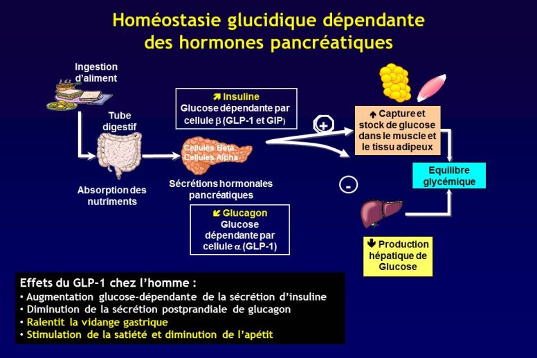 Diapositive4