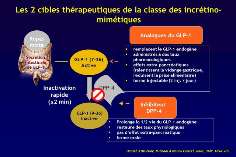 Diapositive6