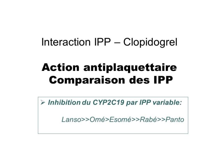 Diapositive11