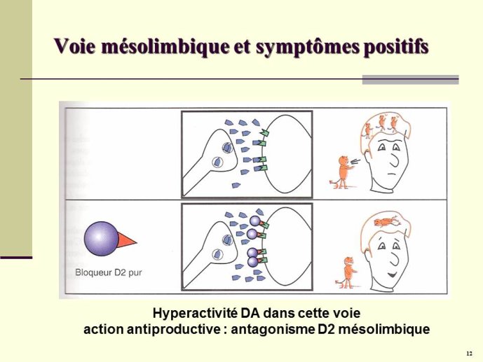 Diapositive12
