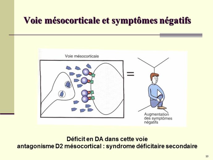 Diapositive13