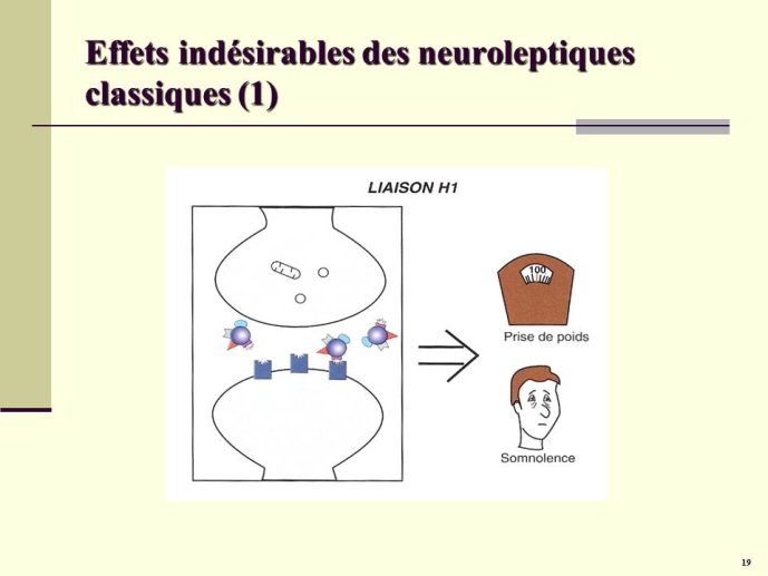 Diapositive19