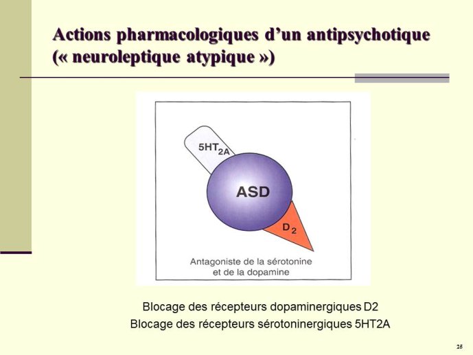Diapositive25