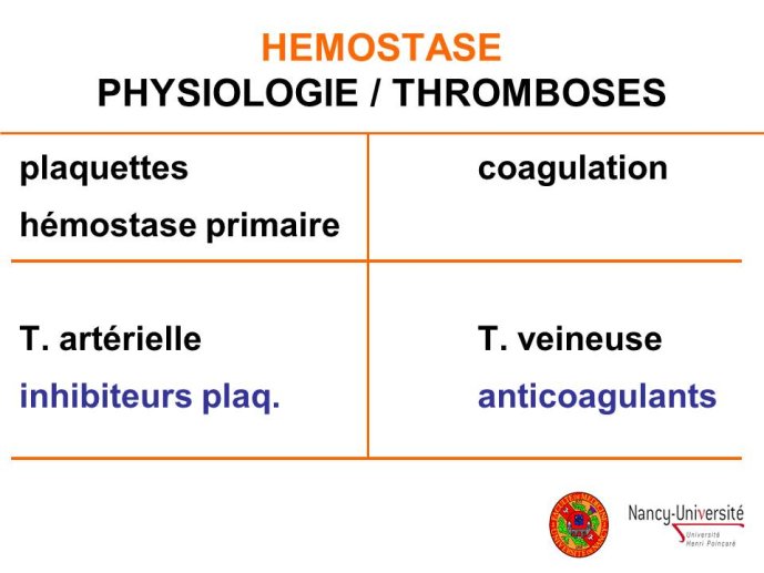Diapositive3