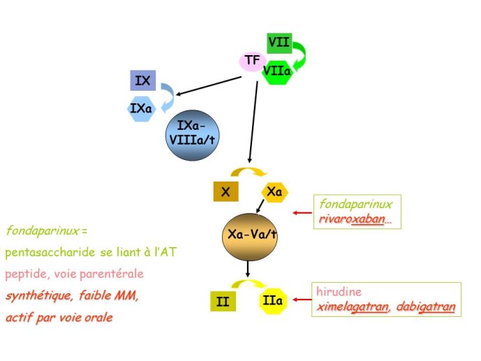 Diapositive16