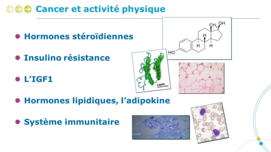 Diapositive45