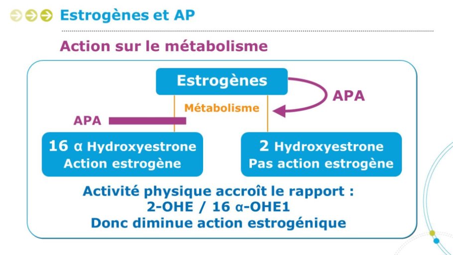 Diapositive47