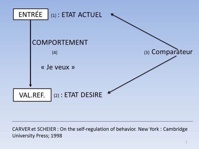 Diapositive1