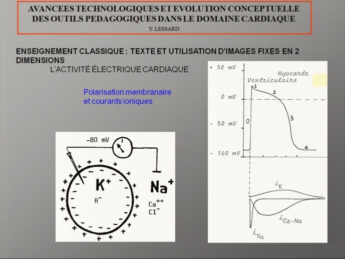 slide_0105_full