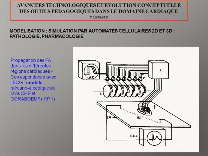 slide_0125_full