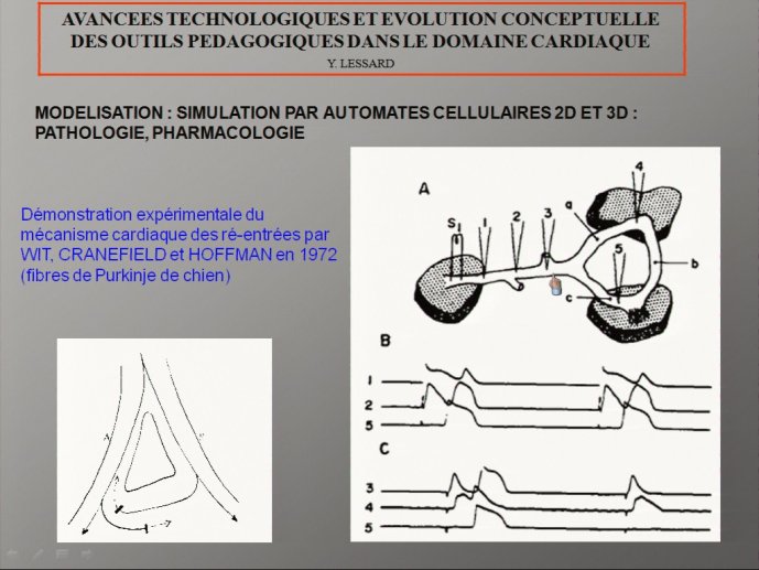 slide_0133_full