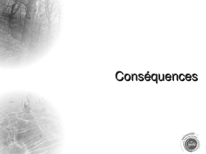 questions0020