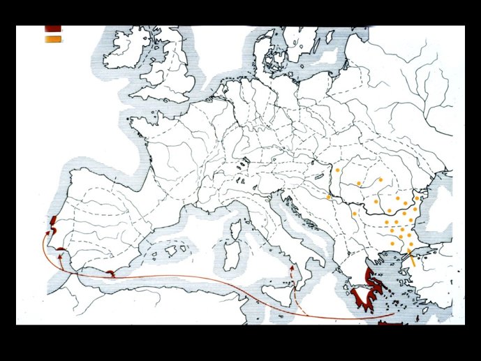 Guilaine-HistoriographieNeolithique2-29.JPG