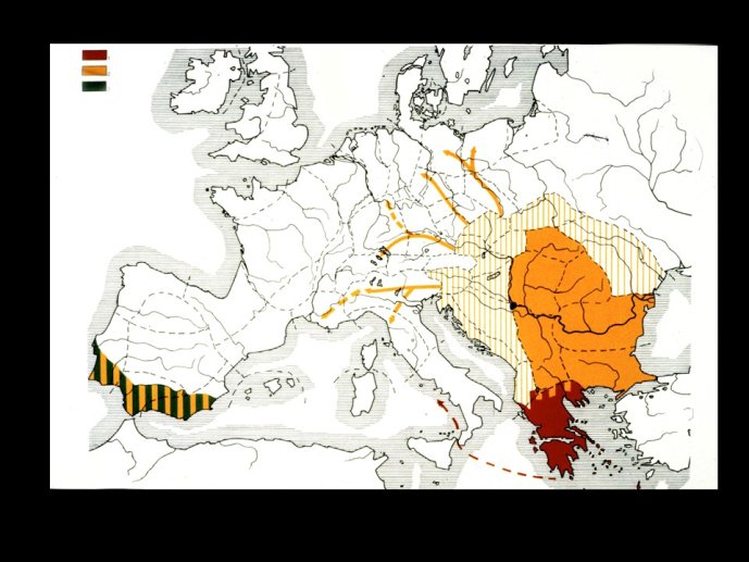 Guilaine-HistoriographieNeolithique2-30.JPG