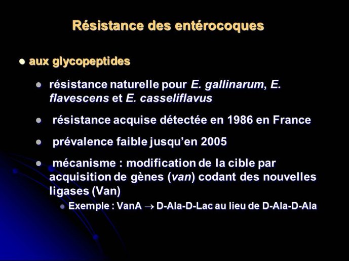 Diapositive21