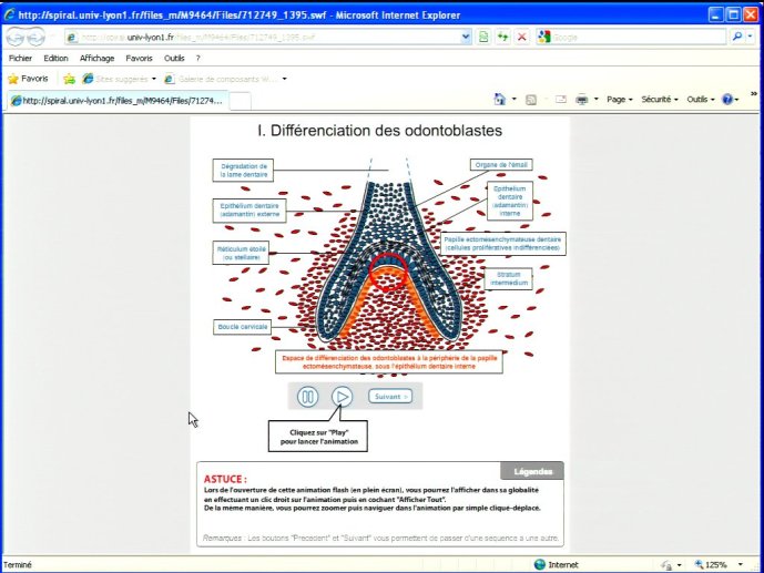 slide_0142_full