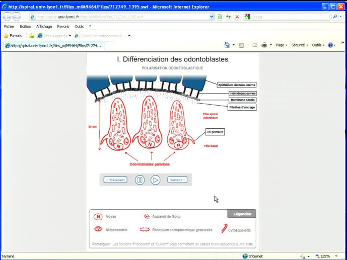 slide_0146_full