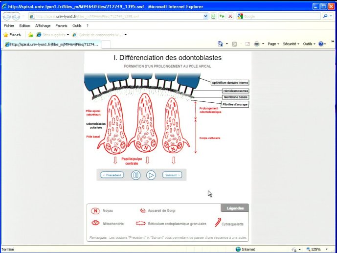 slide_0147_full