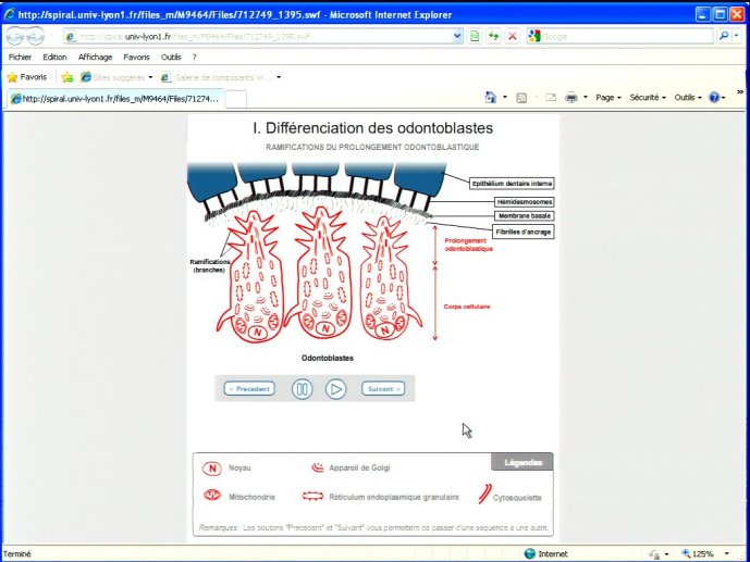 slide_0148_full