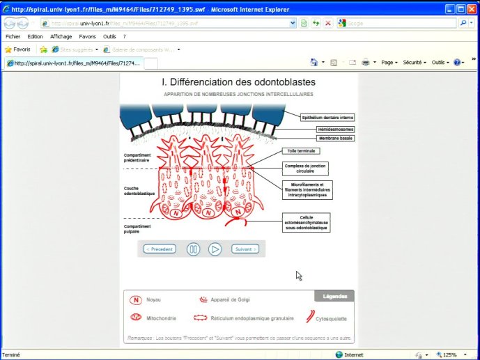 slide_0149_full