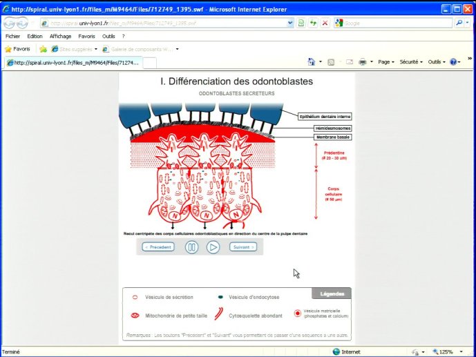 slide_0150_full