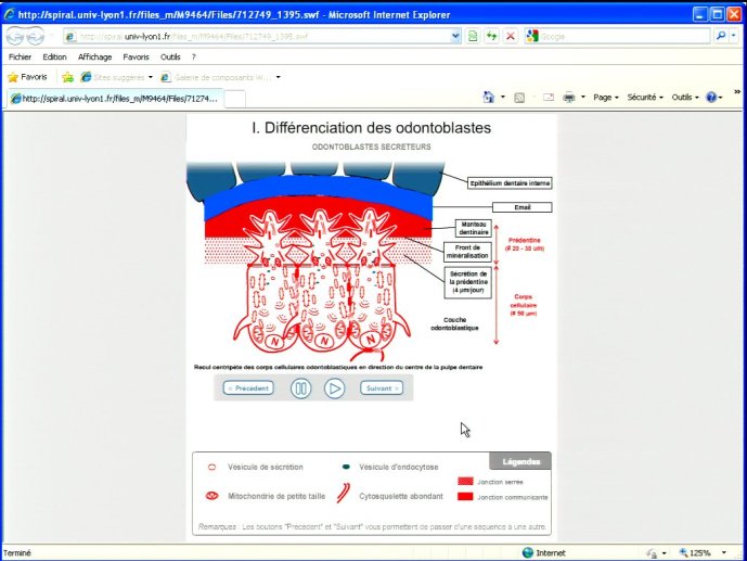 slide_0151_full
