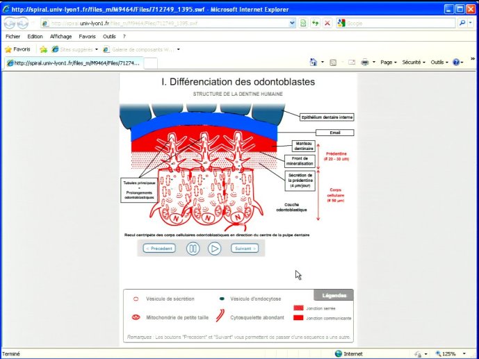 slide_0152_full