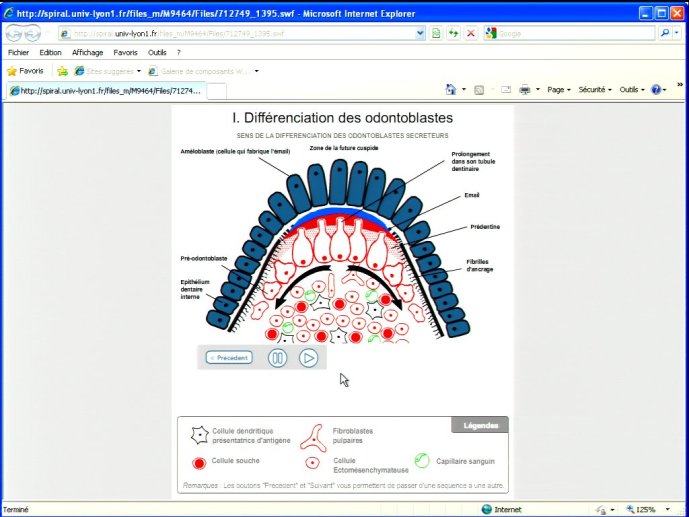 slide_0153_full