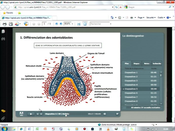 slide_0166_full