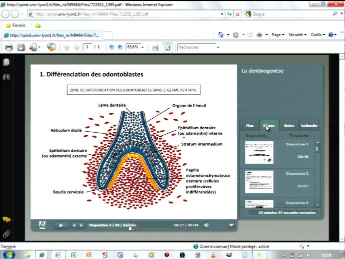 slide_0168_full