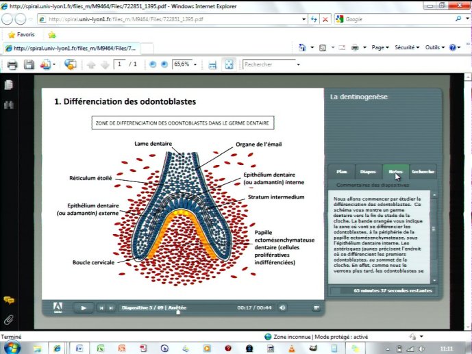 slide_0169_full