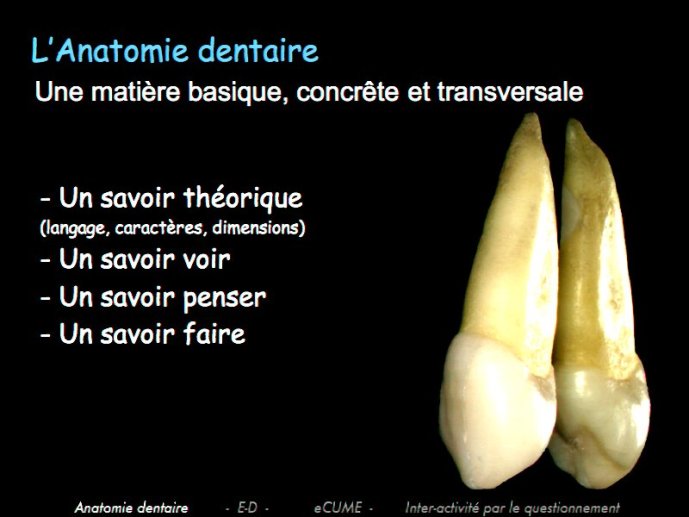 slide_0004_full