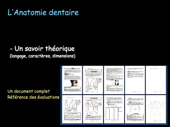 slide_0006_full