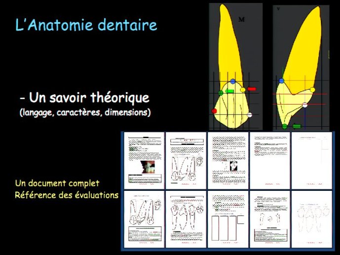slide_0007_full