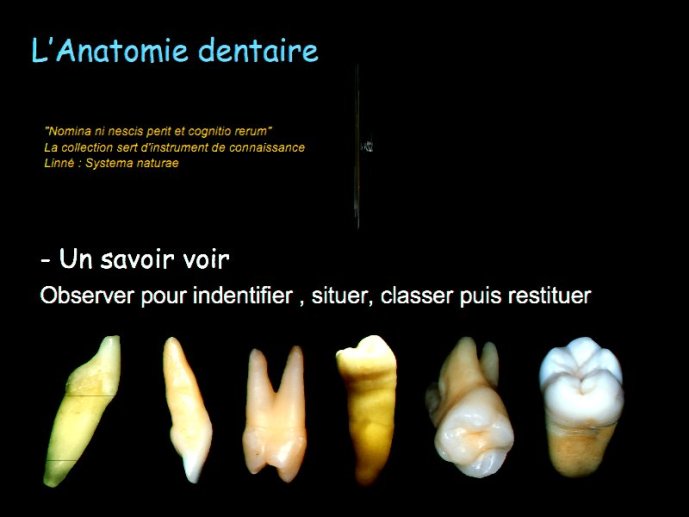 slide_0008_full