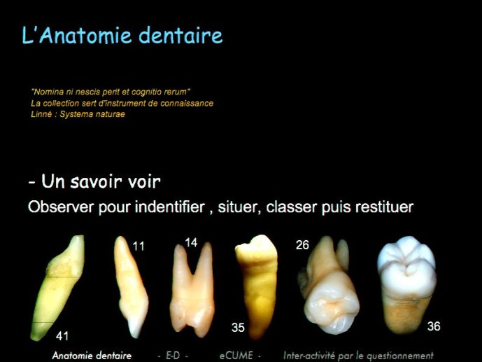 slide_0009_full