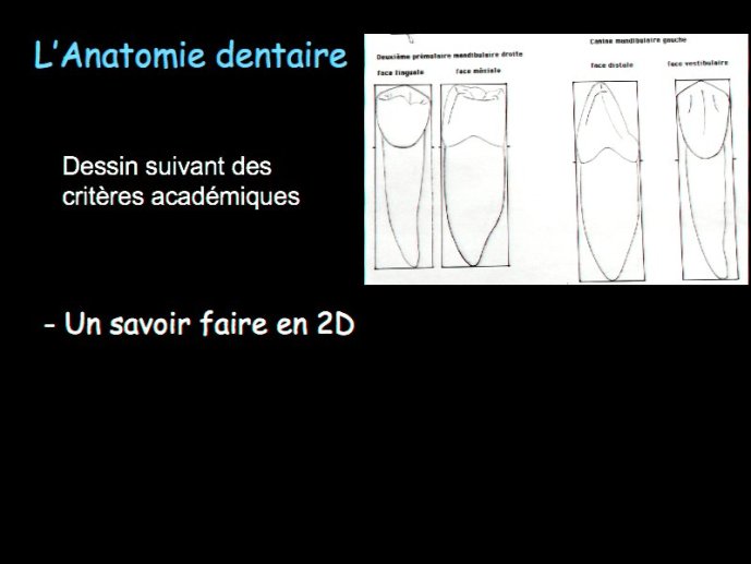 slide_0012_full