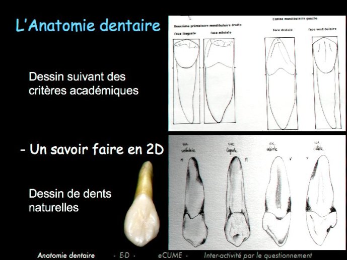 slide_0013_full