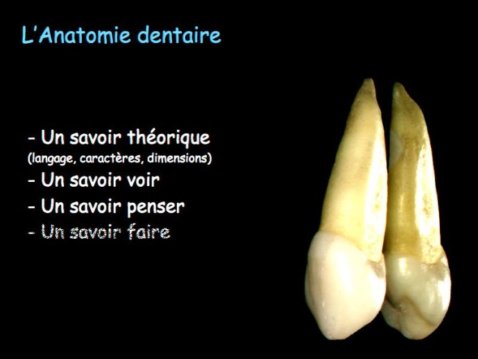 slide_0021_full