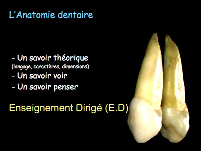 slide_0022_full